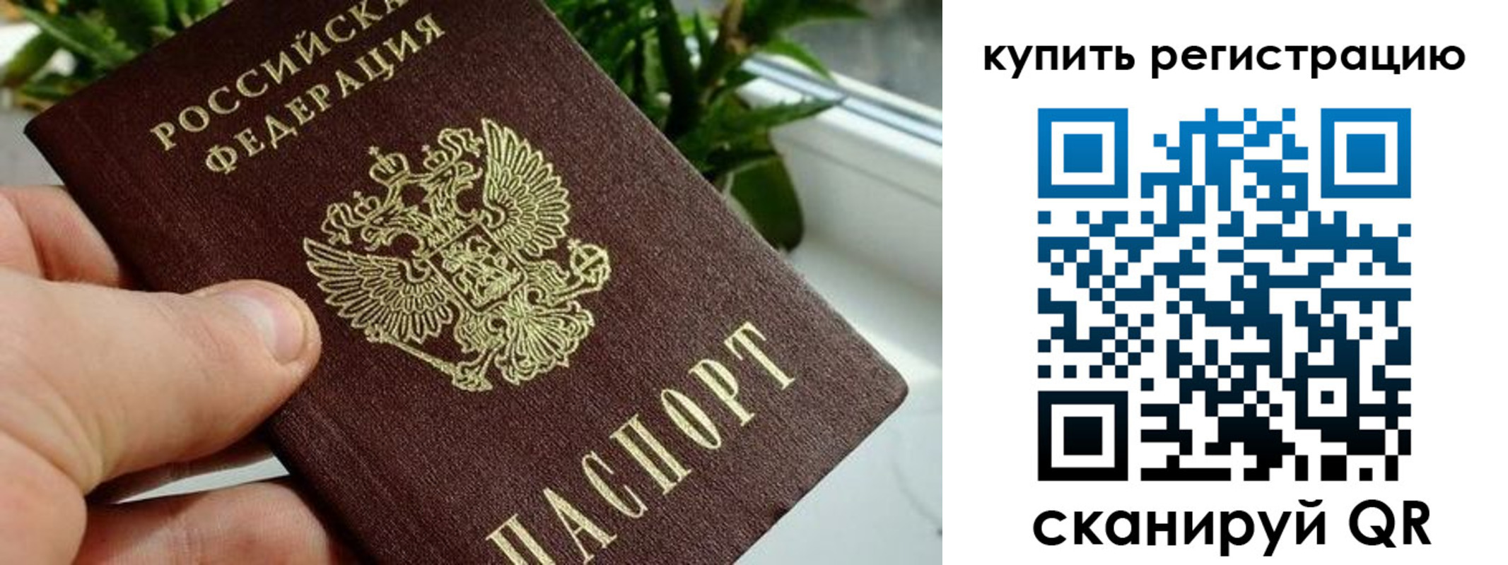 прописка гарантия в Жирновске
